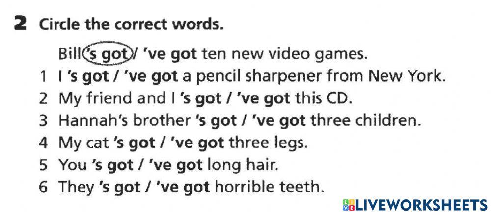 Have got Vs. has got Grammar select the correct answer by Teacher Kasim