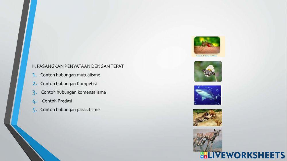 Interaksi mahluk hidup