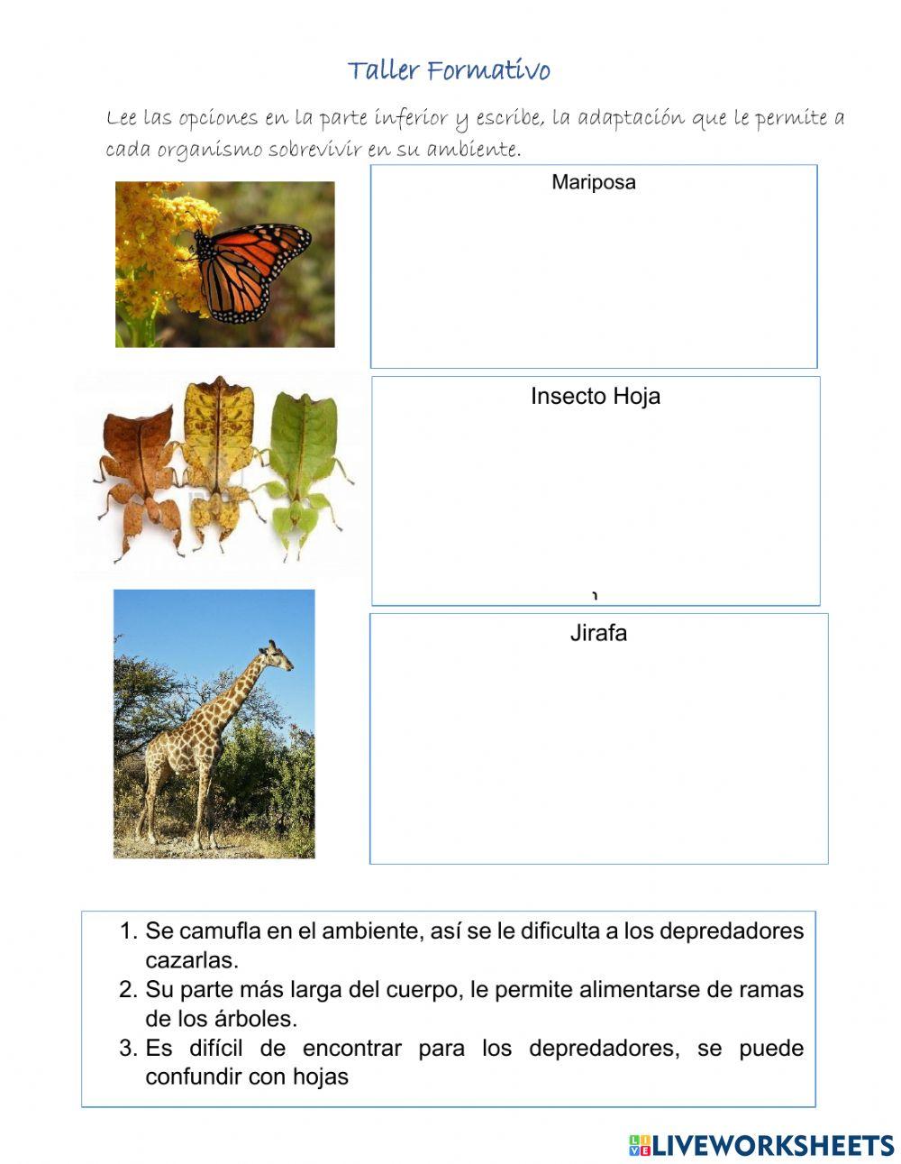 Adaptación que le permite a cada organismo sobrevivir