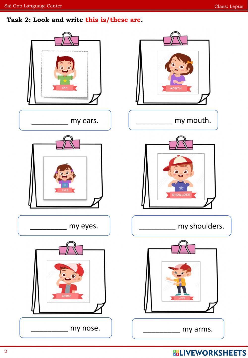 Lepus ffs0 topic 8 10.07