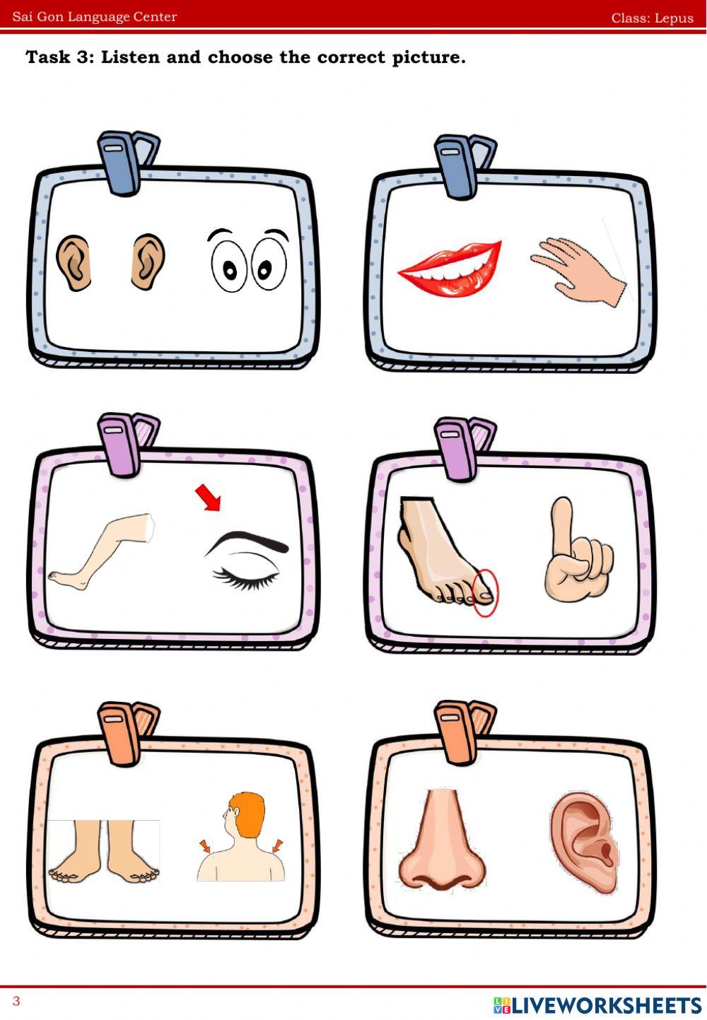 Lepus ffs0 topic 8 10.07