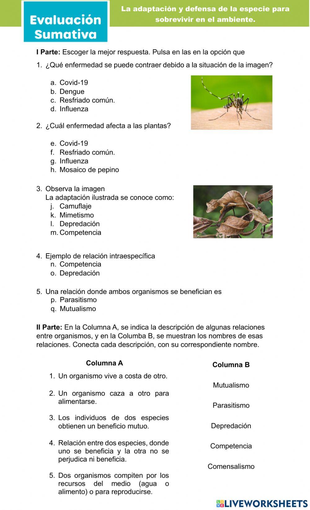 La adaptación y defensa de la especie para sobrevivir en el ambiente