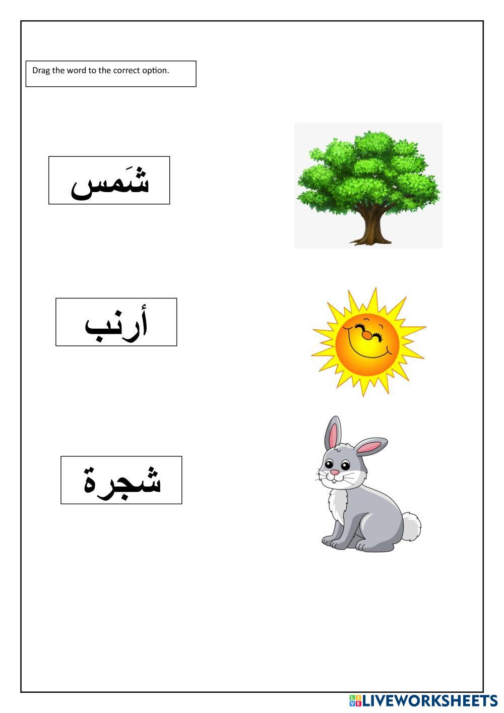 7210043 KG2 Worksheet Eithar Khair Alla 7210043 KG2 Worksheet Eithar Khair Alla