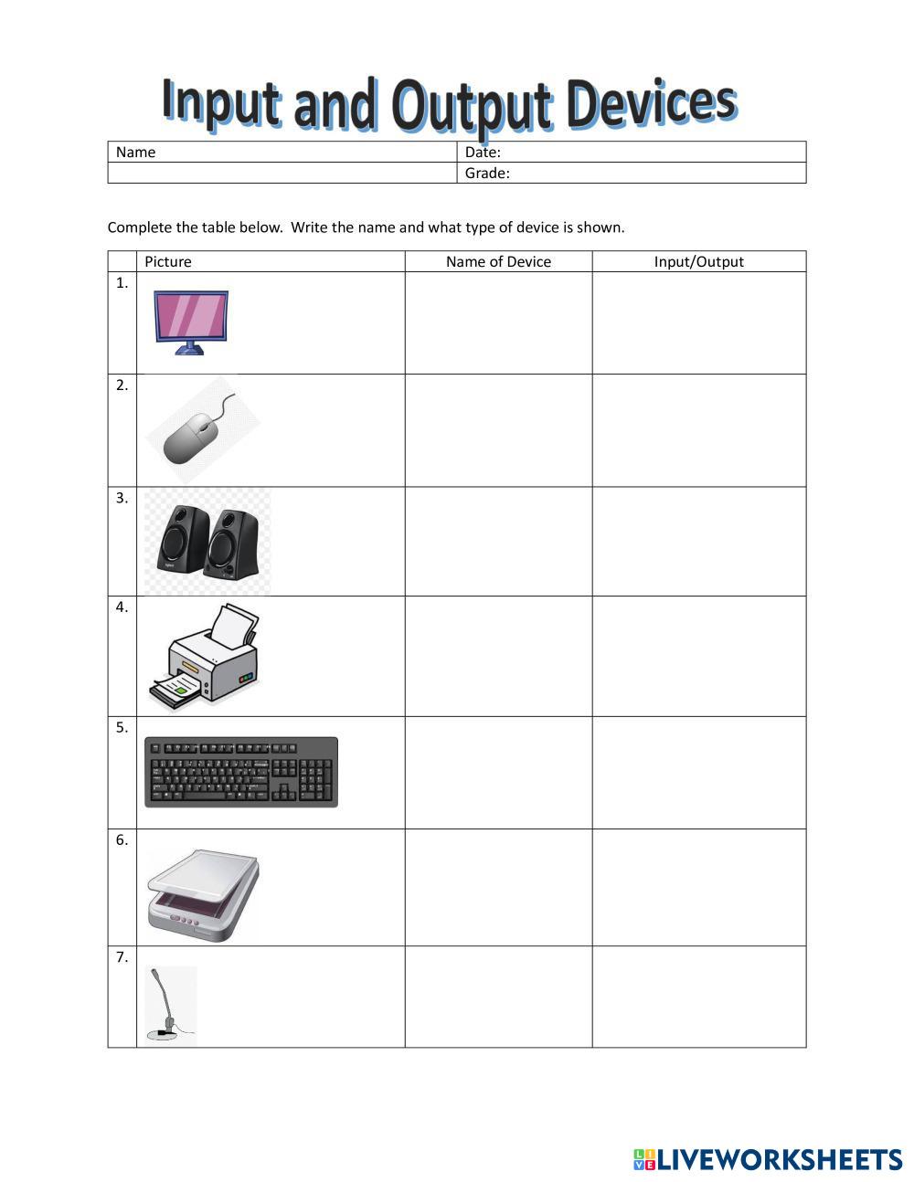 computer basics worksheet input/output