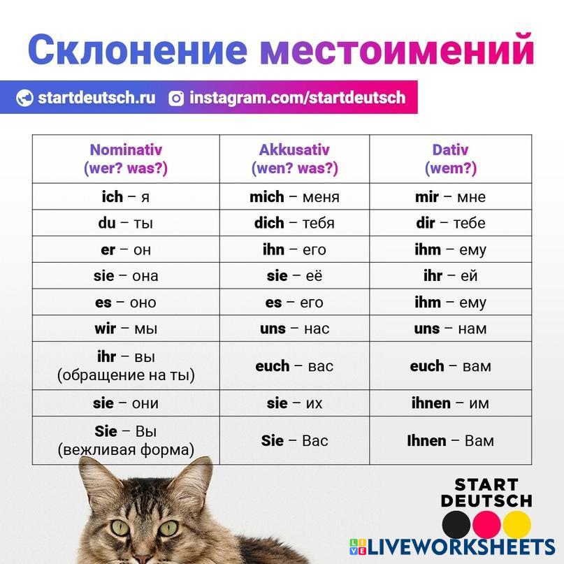 Склонение местоимений | Live Worksheets
