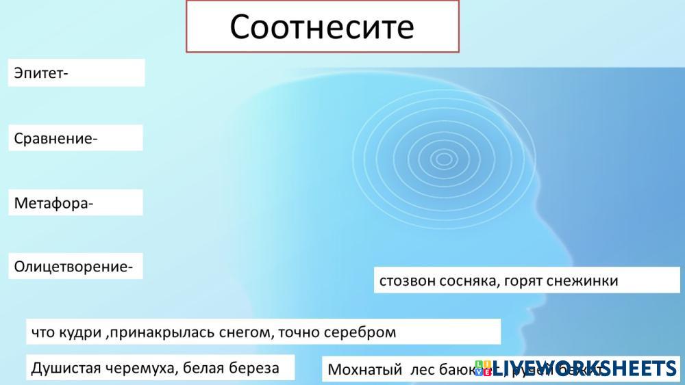 Соотнесите | Live Worksheets