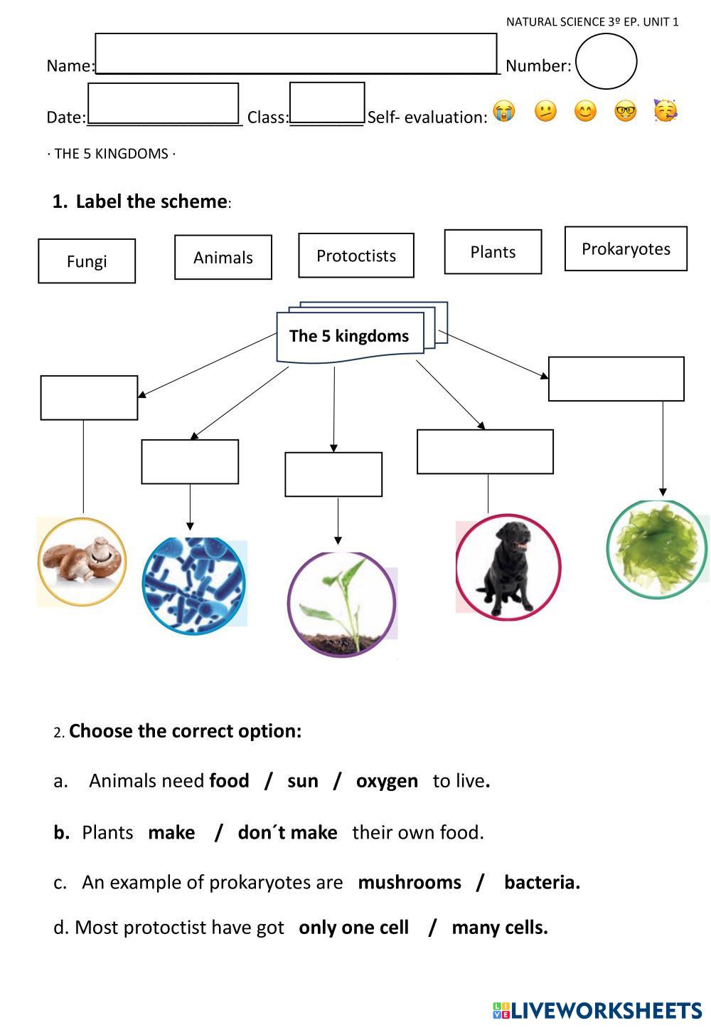 7290749 | VERTEBRATES TEST UNIT 1 | lidrogomsaa
