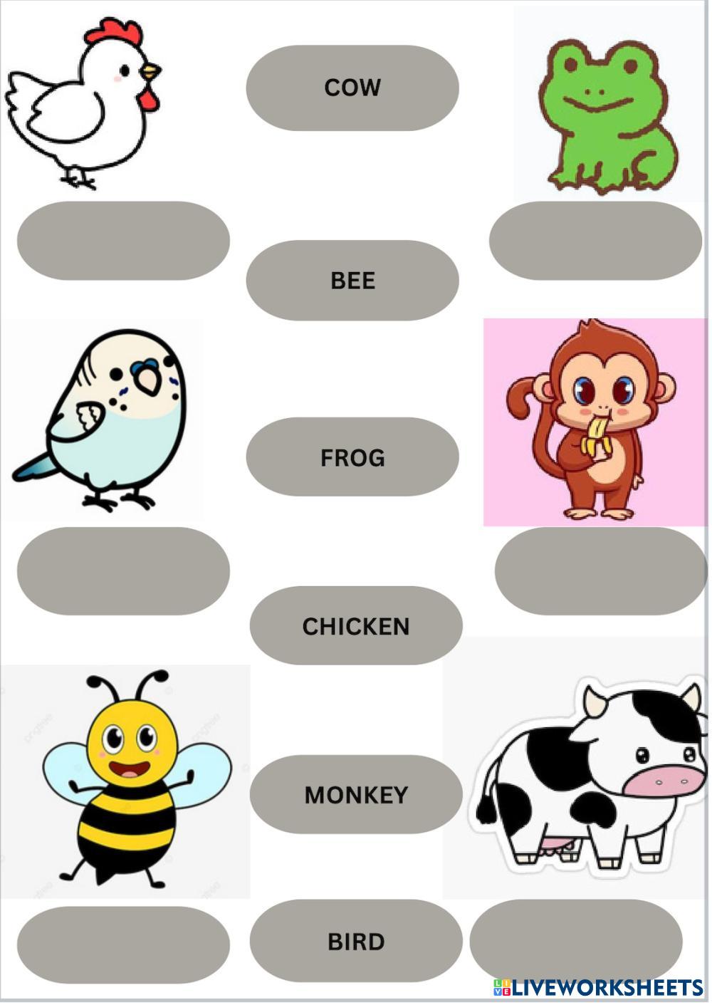 Animals Live Worksheets Animals Live Worksheets
