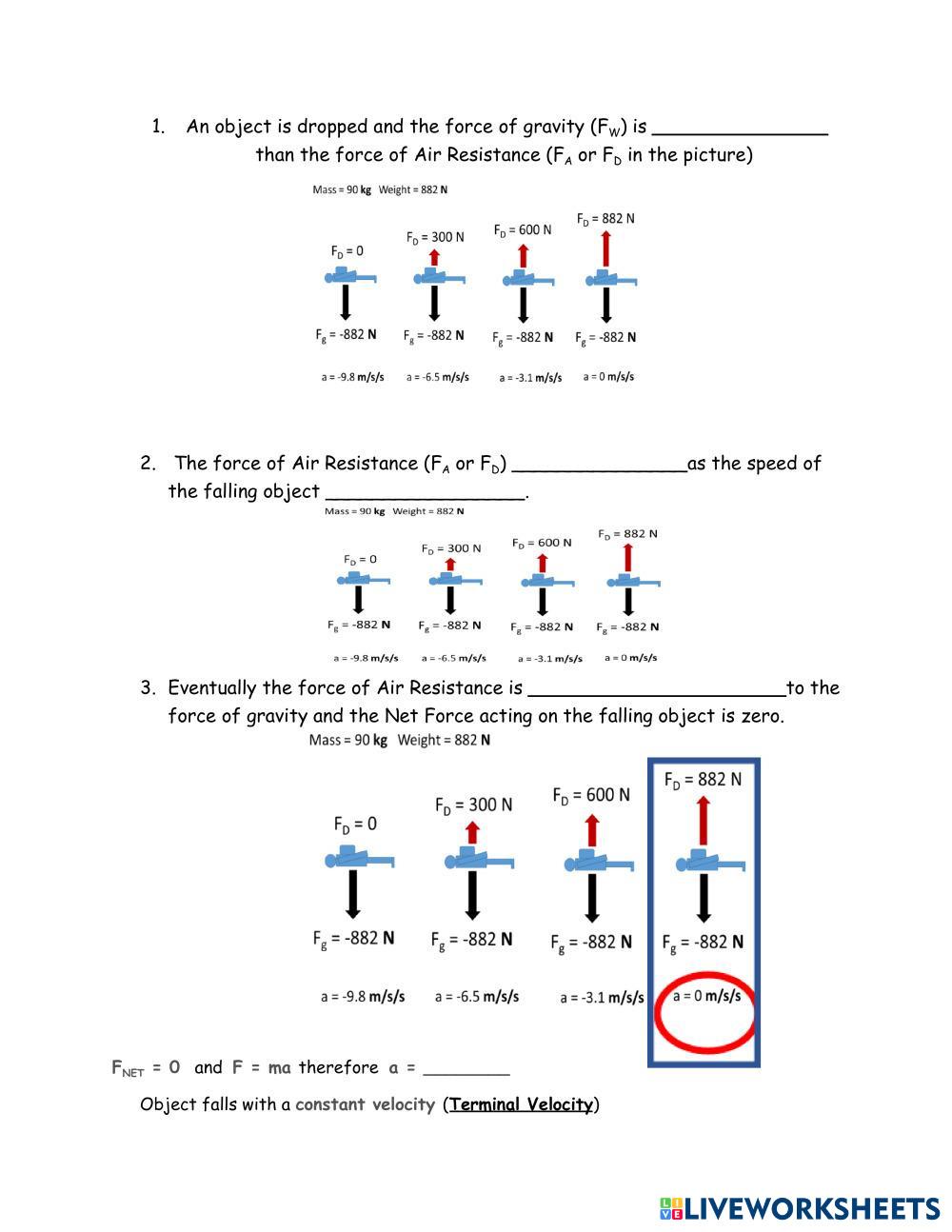 Alexa Herrell | Free Fall and Terminal Velocity Worksheet