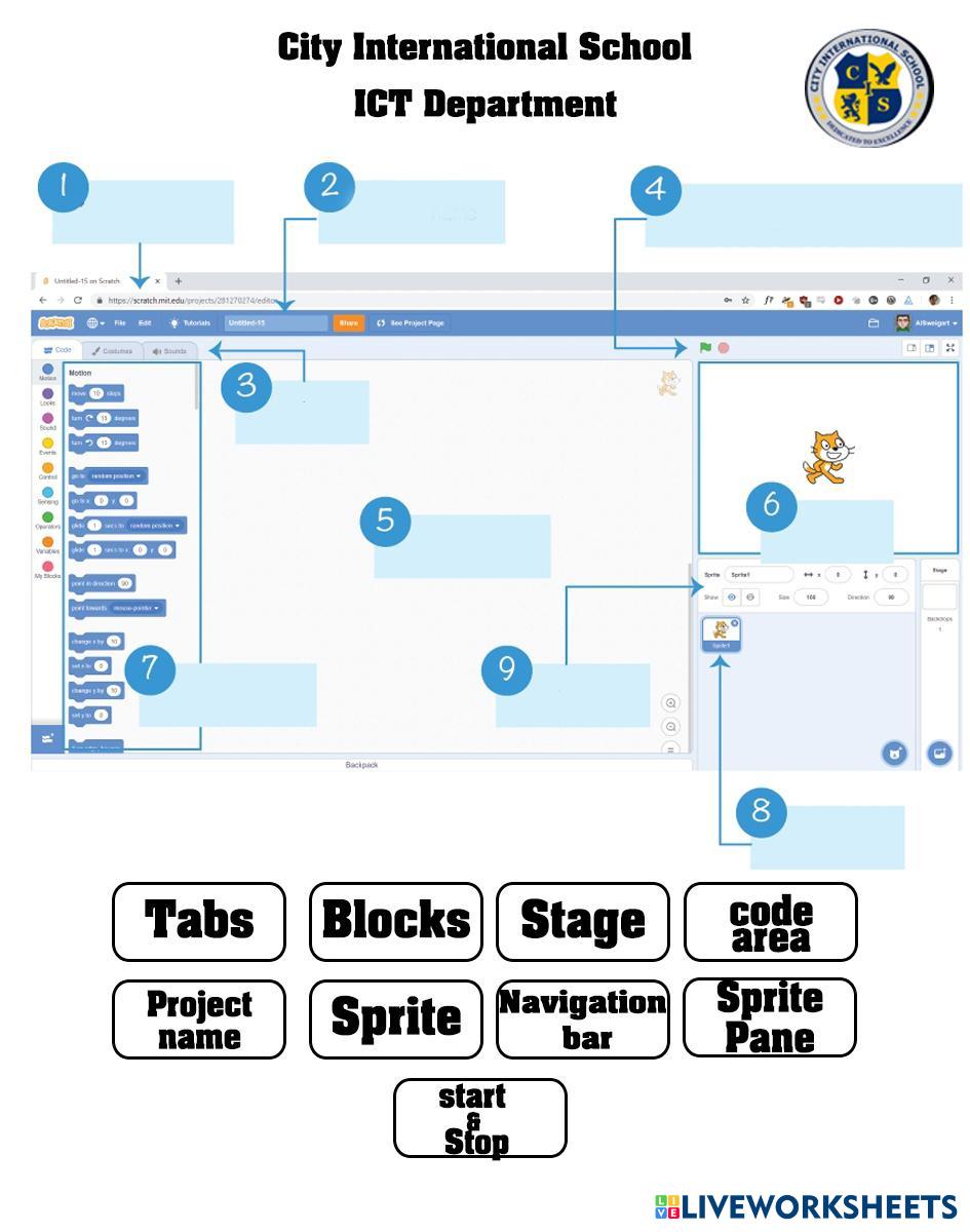 scratch | Live Worksheets