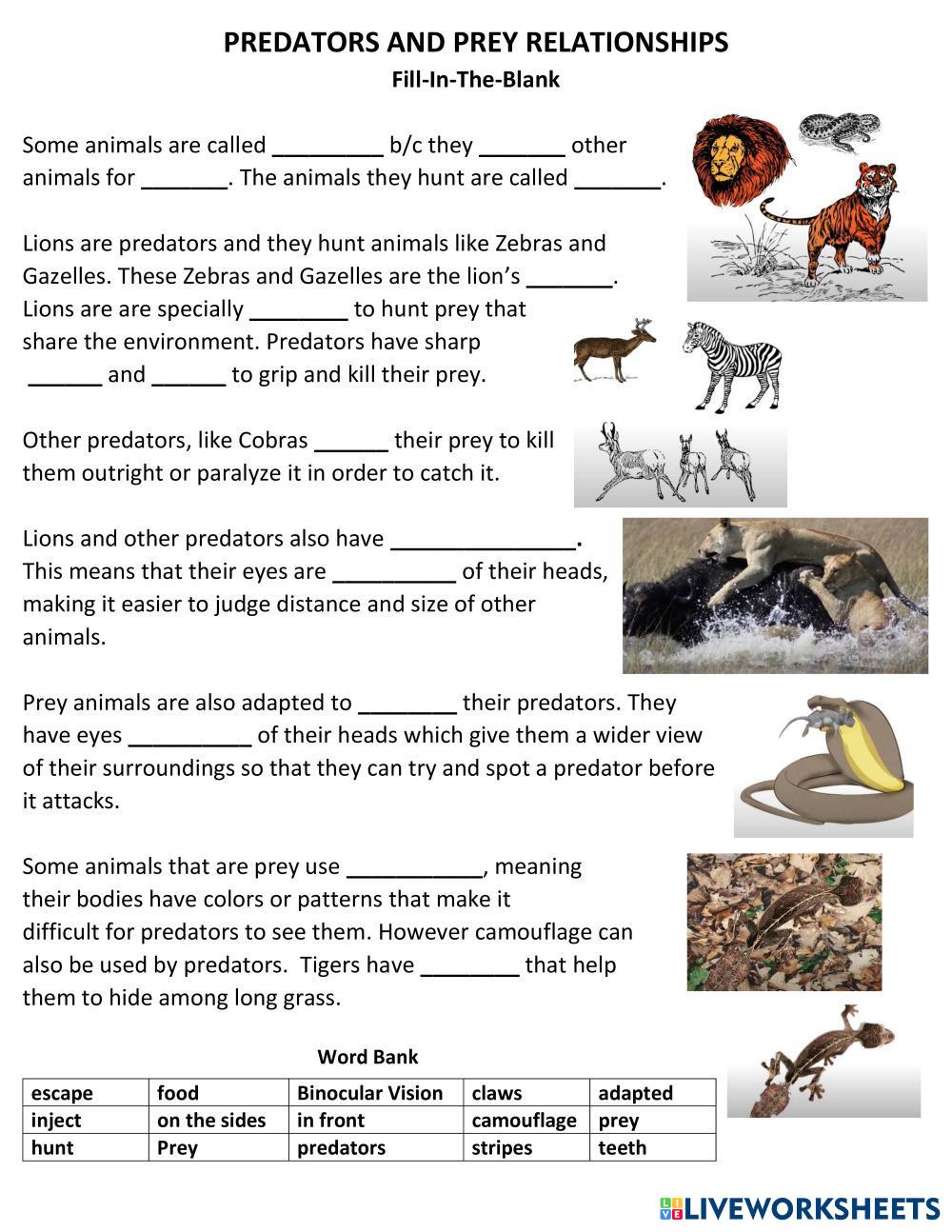 predator-and-prey-relationships-live-worksheets
