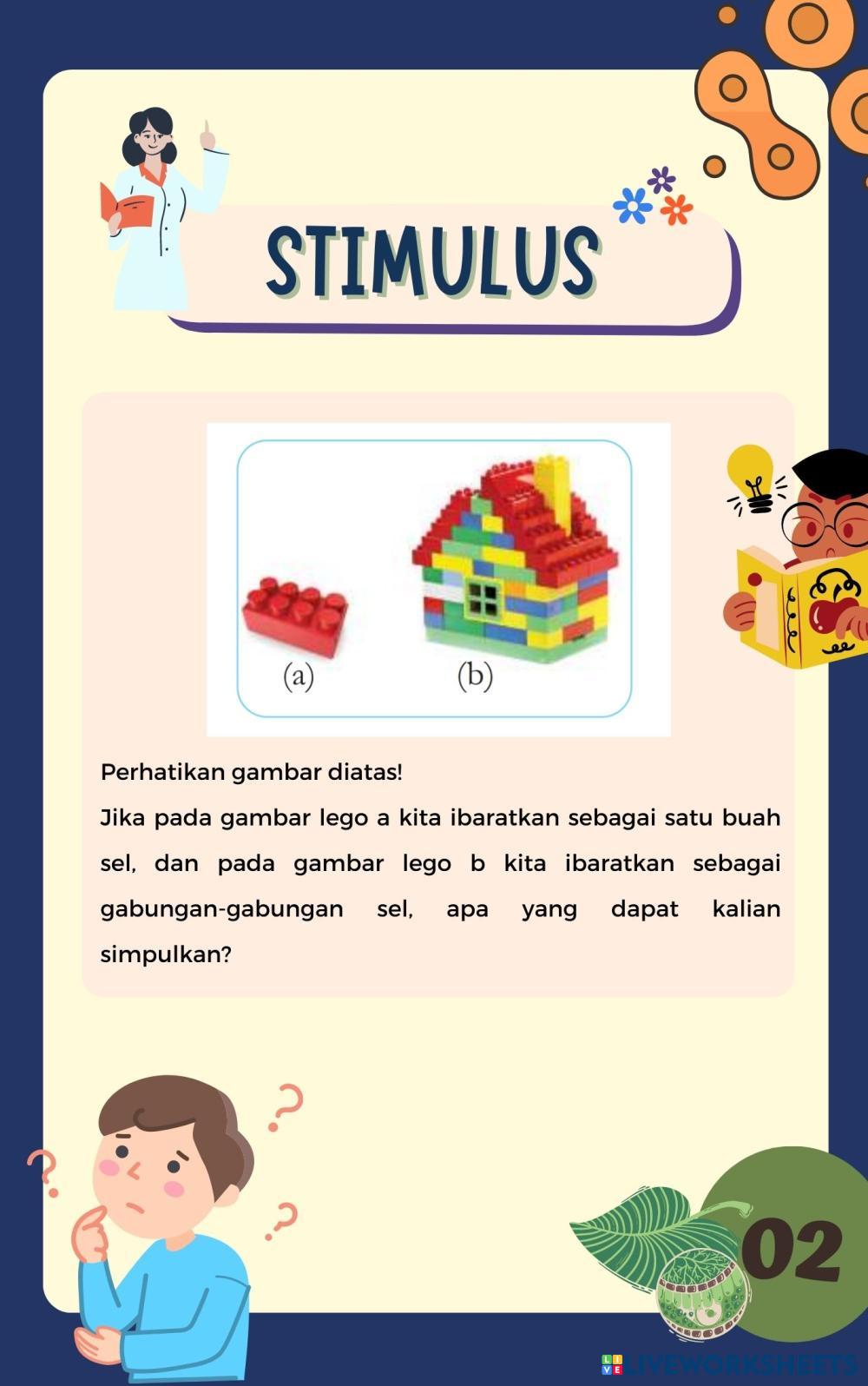 Spesialisasi Sel Free Interactive Worksheets 7113441 spesialisasi-sel-free-interactive-worksheets-7113441