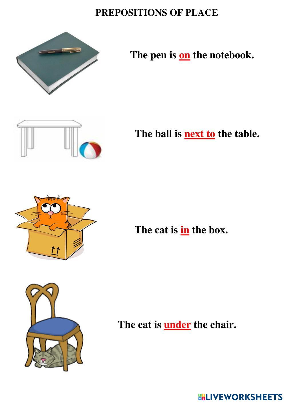 Prepositions: The Cat and the Chair