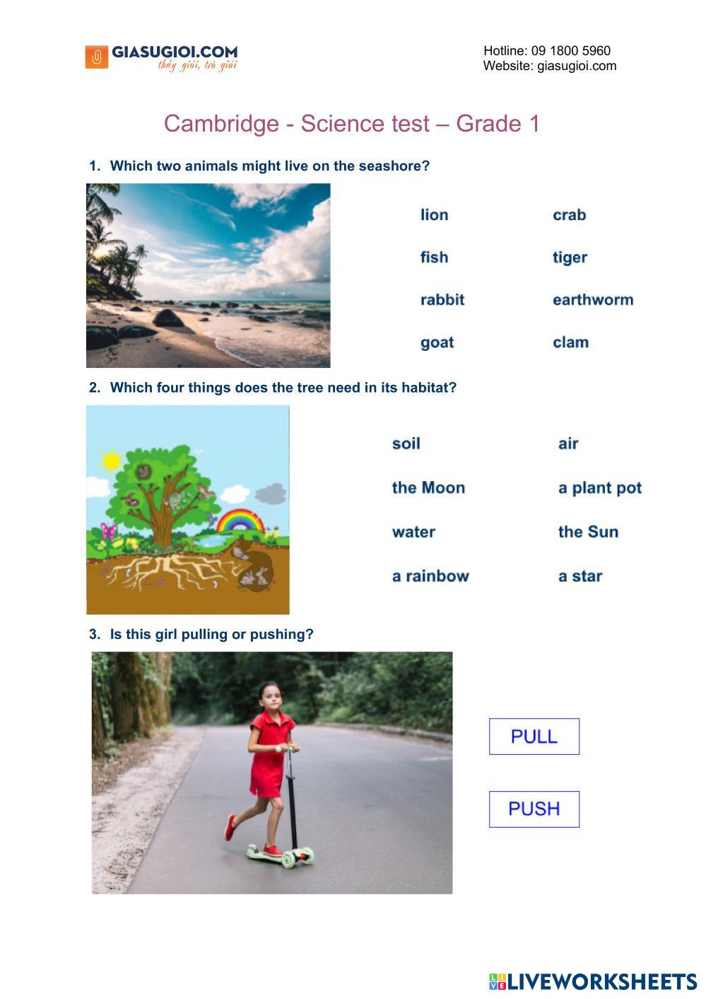7117149 | Cambridge - Science test – Grade 1 | Gia Sư