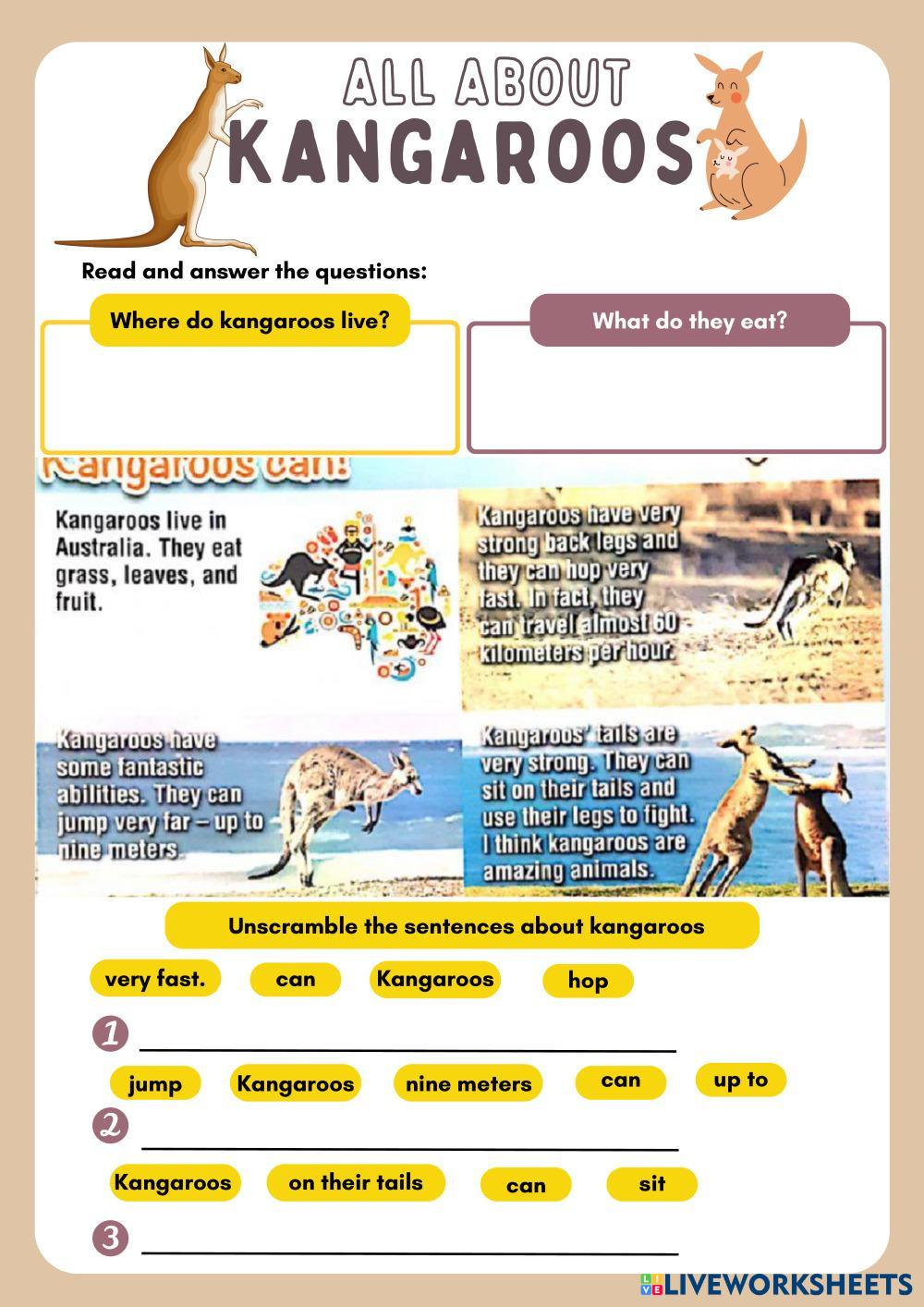 All about kangaroos live worksheets