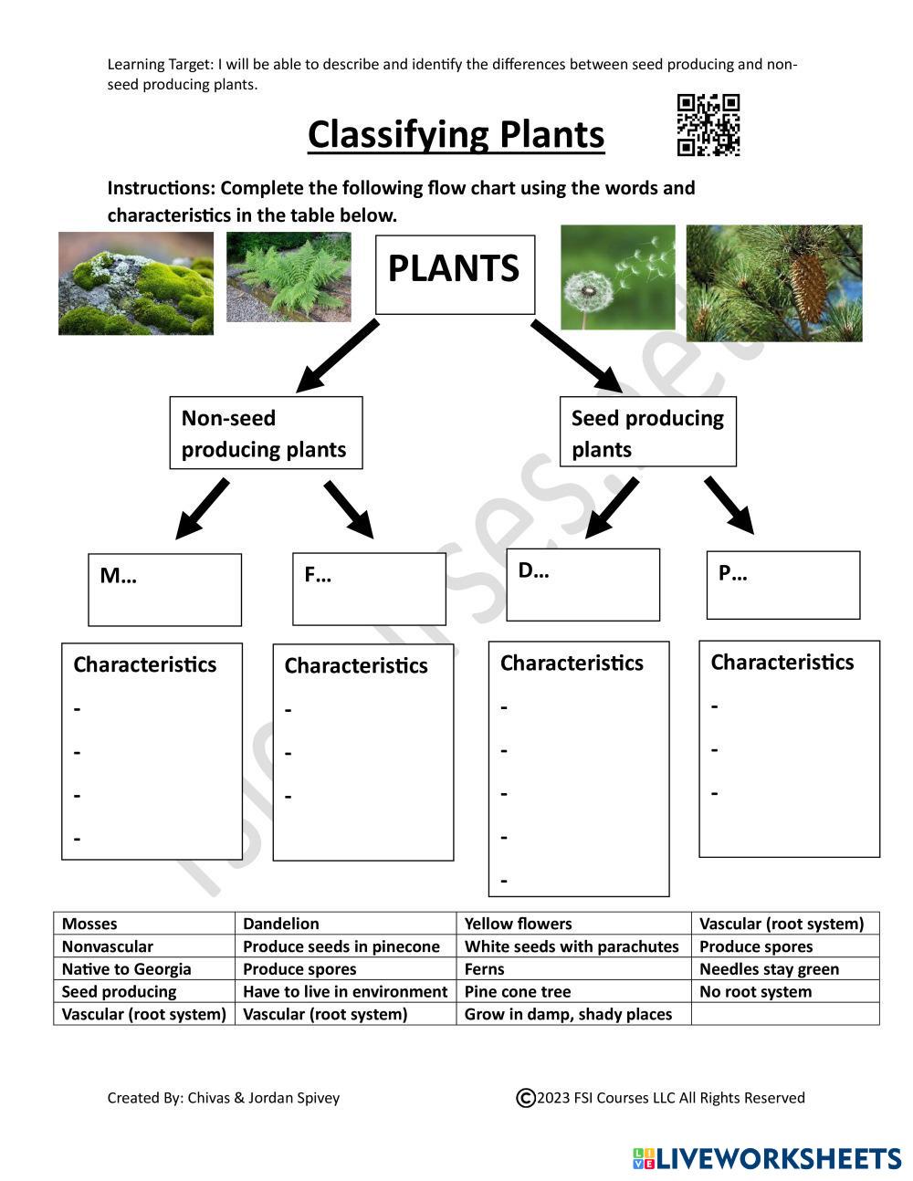 Classifying Plants Flow Chart Activity | Live Worksheets