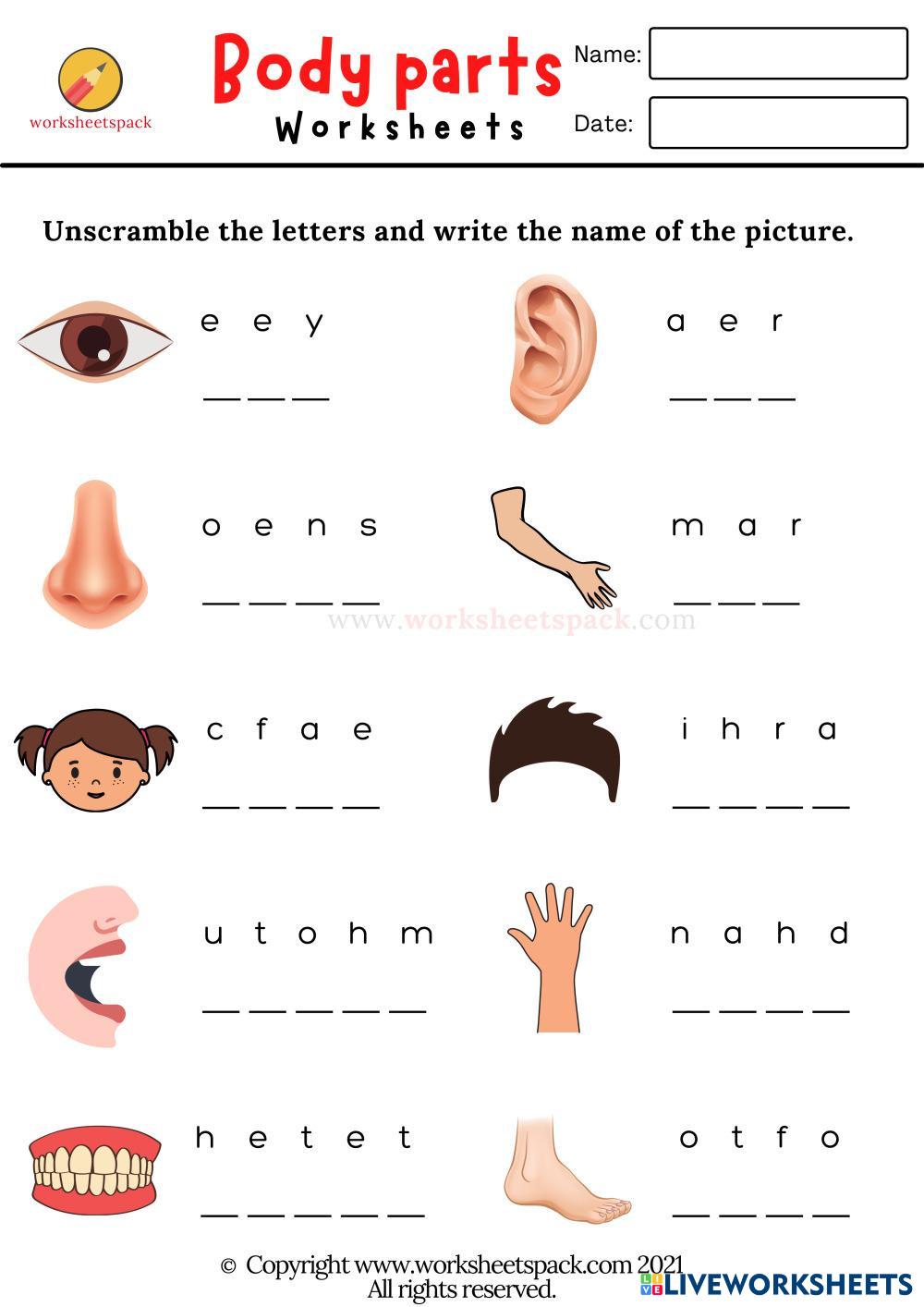 body-parts-live-worksheets
