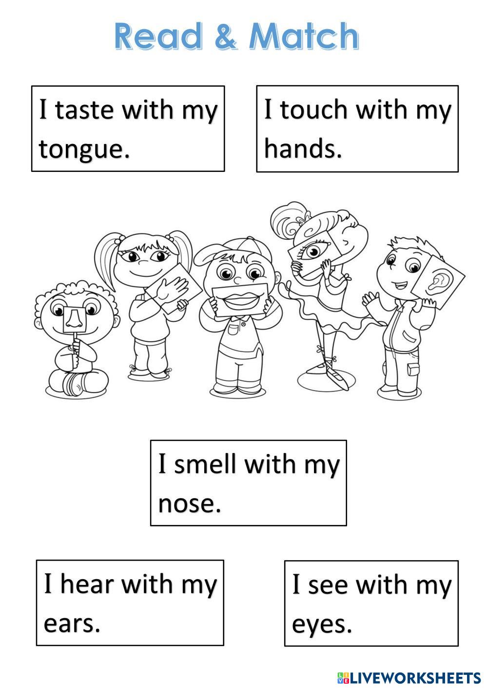 Senses Read Match Live Worksheets Senses Read Match Live Worksheets