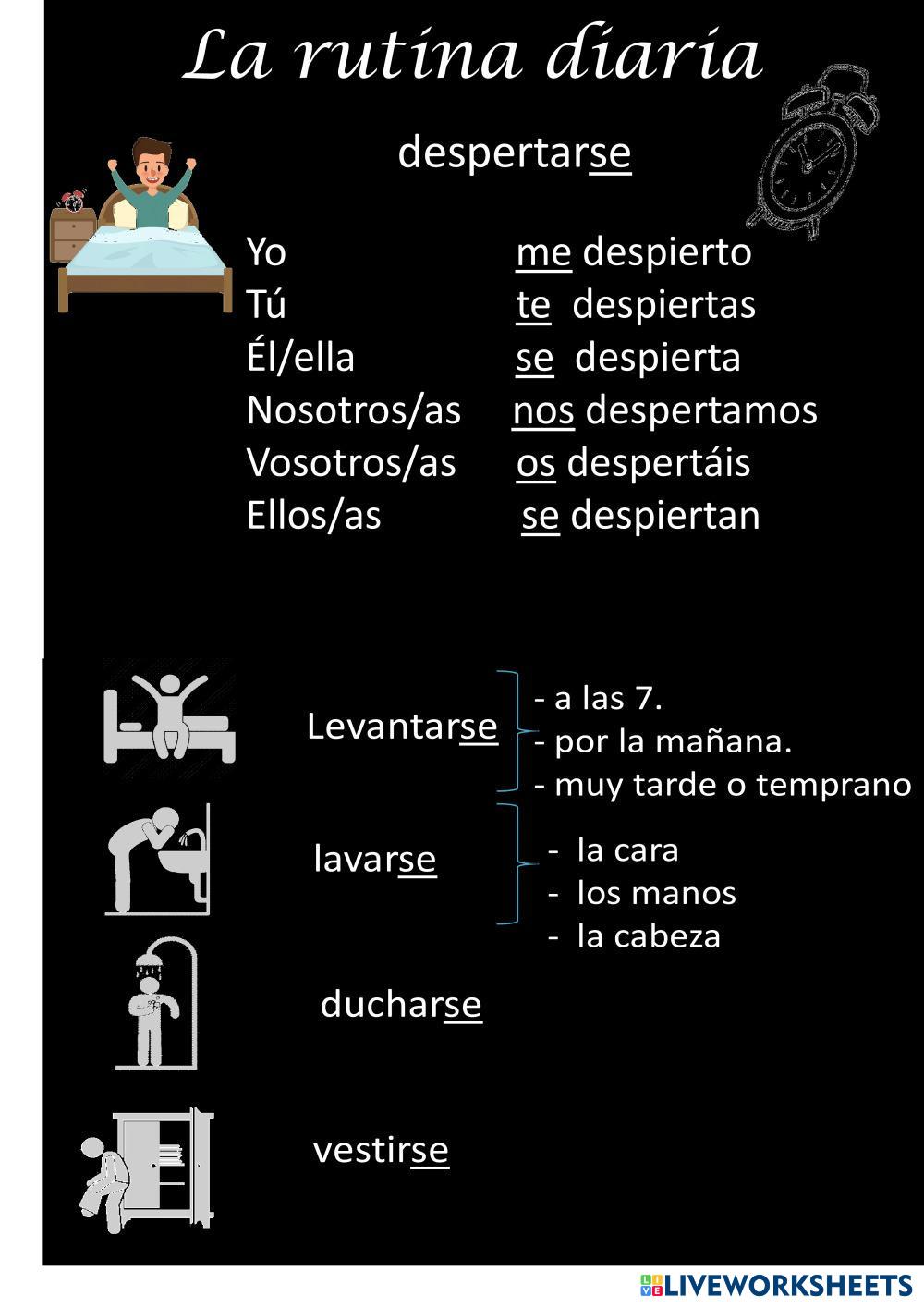 La rutina diaria Live Worksheets