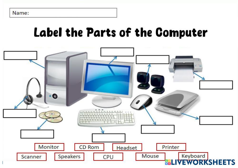 Parts Of The Computer Worksheets