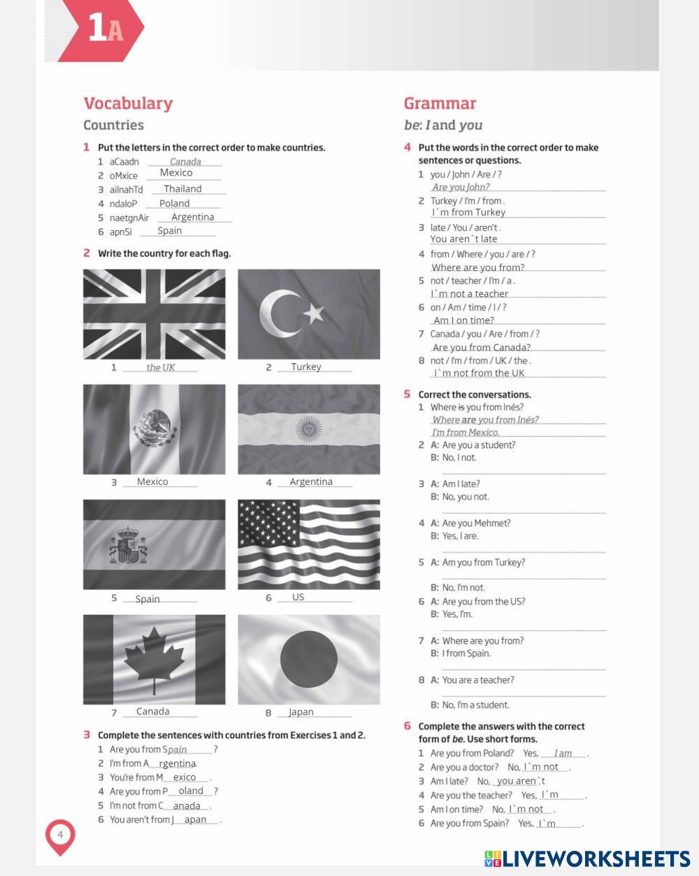 Unit 1 (Countries) | Live Worksheets