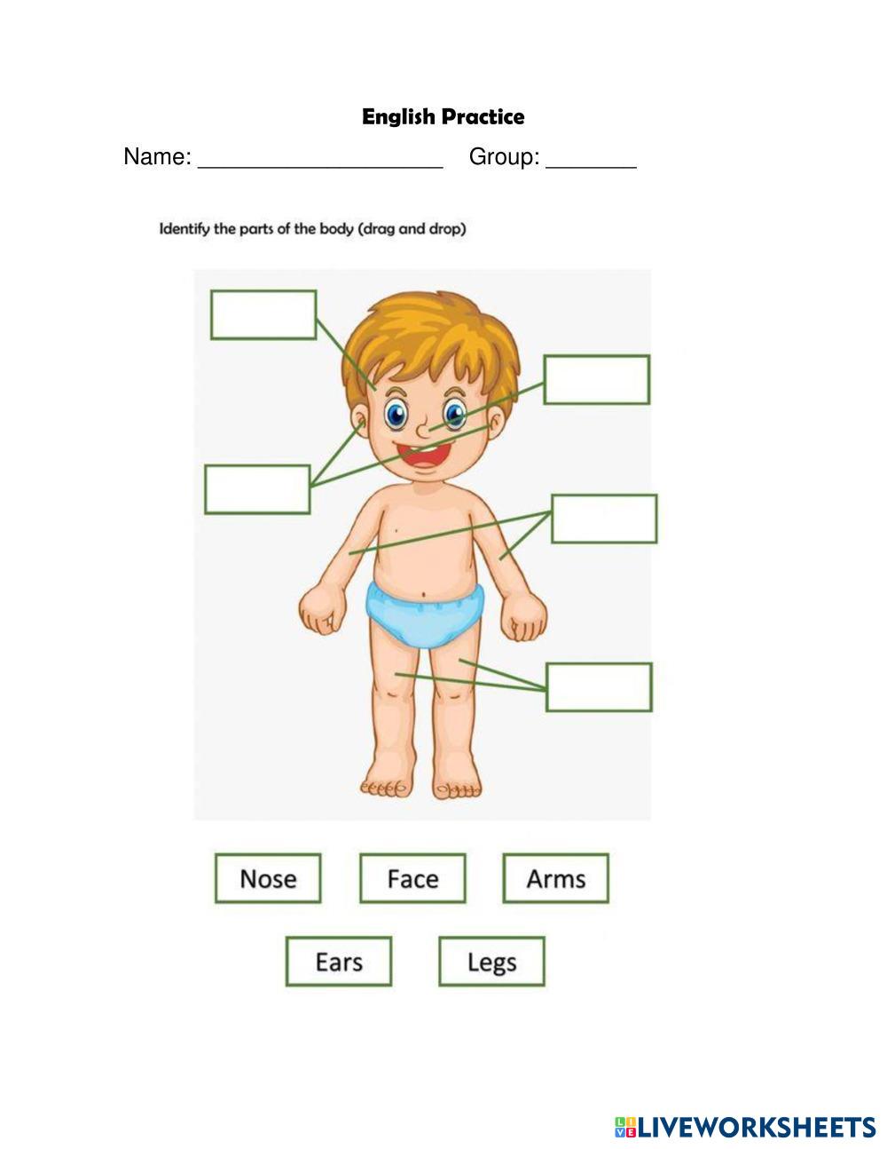 The Body Parts | Live Worksheets