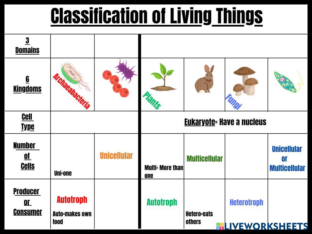 Classification of Living Things 7551609 | Norma Chapa
