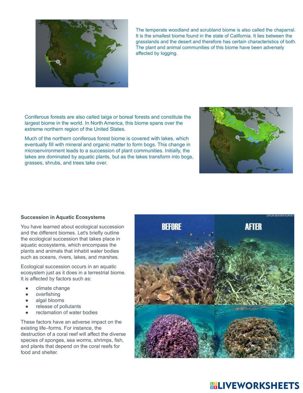 Ecological Succ… | Free Interactive Worksheets | 7600314