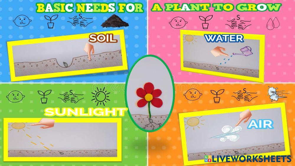 7646712 Plants Lorena Liveworksheets 7646712 Plants Lorena Liveworksheets