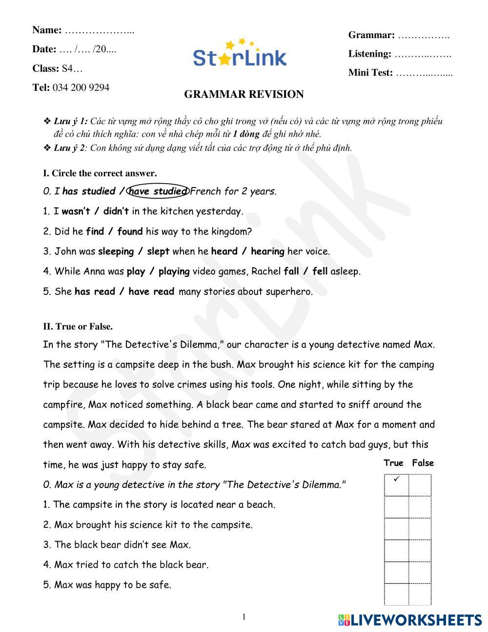grammar revision worksheet with answers