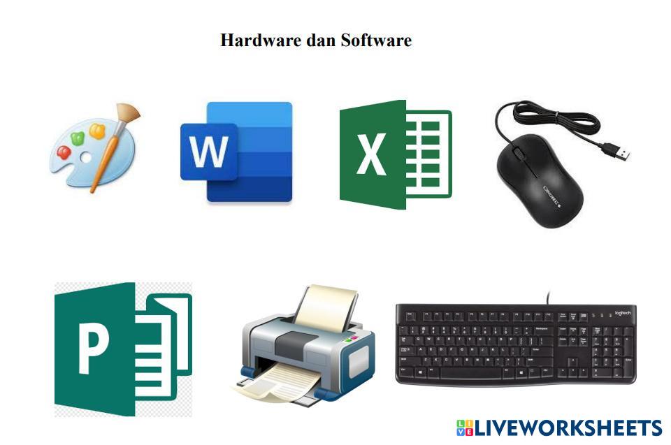 Hardware and Software | Live Worksheets