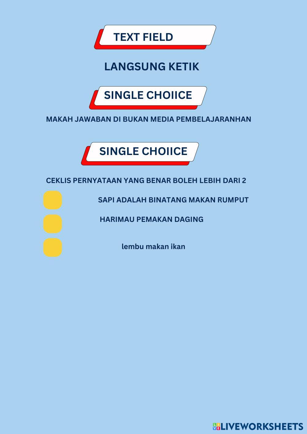 AAN Free Interactive Worksheets 7767947