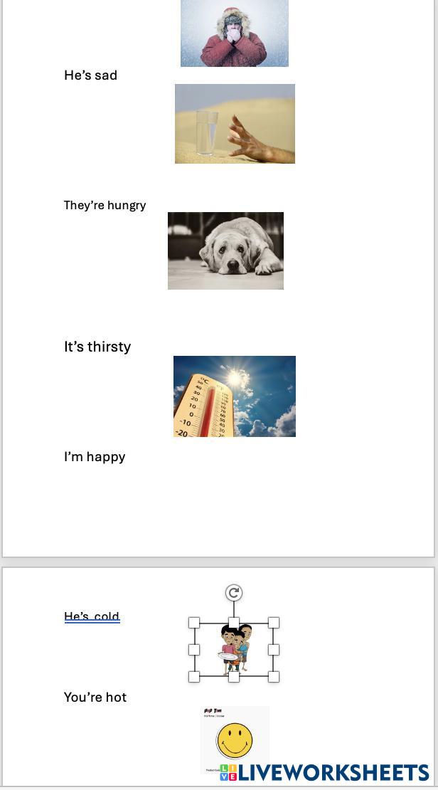 emotions Live Worksheets