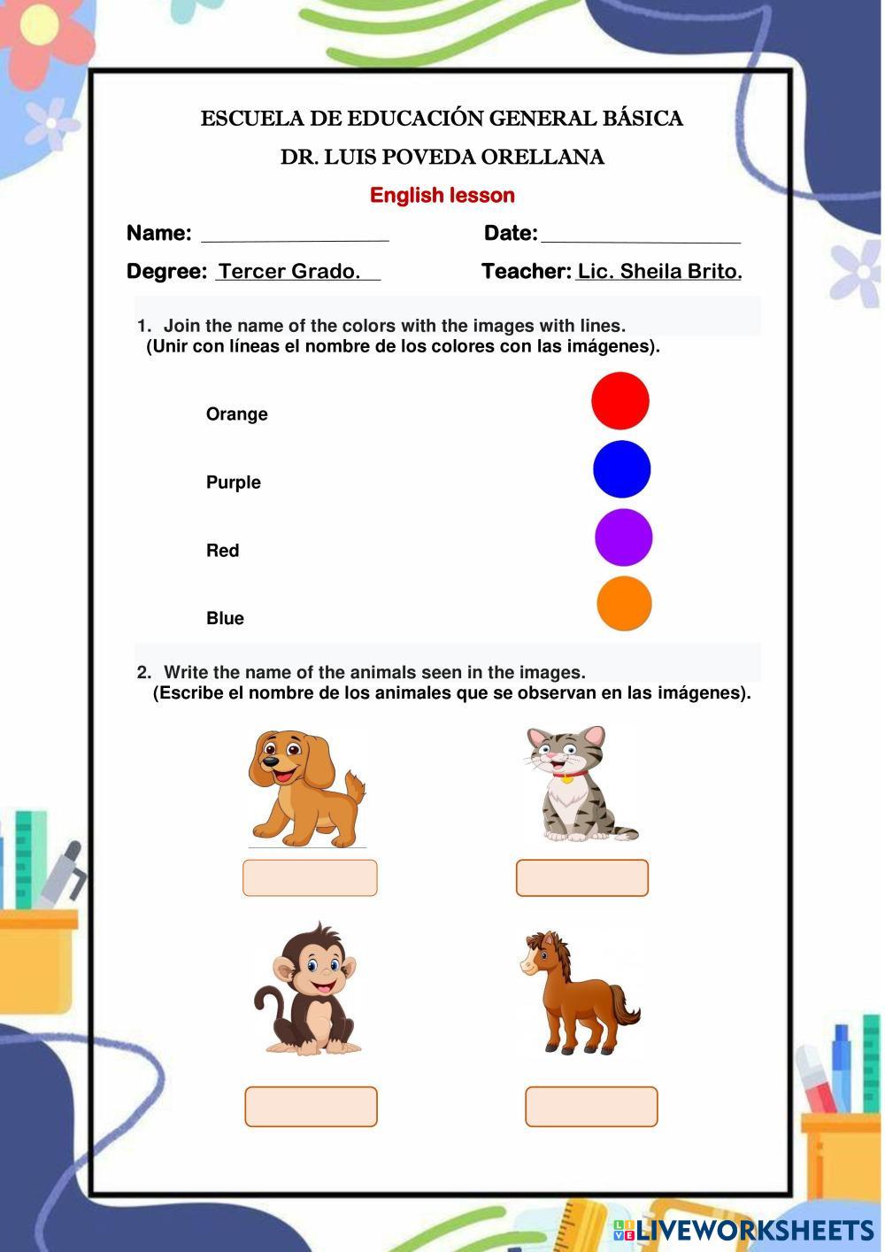 Colors Live Worksheets
