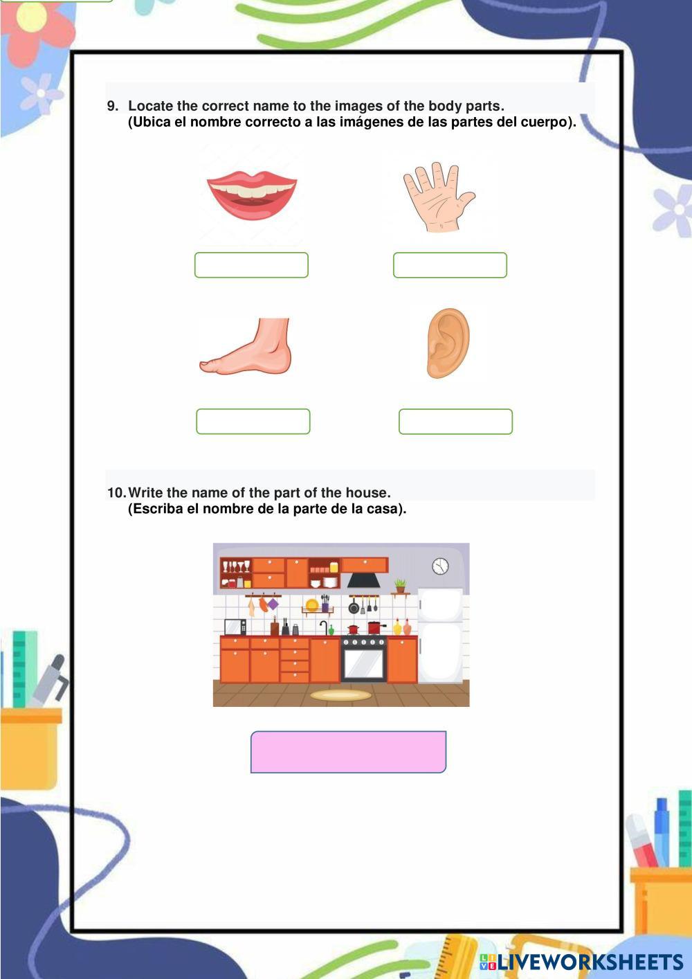 Colors Live Worksheets