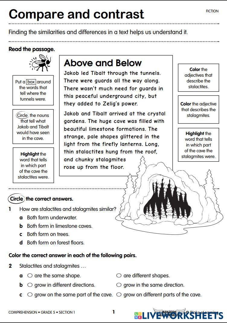 Week 0 Reading 7802073 ThomasDodd Live Worksheets Week 0 Reading 7802073 ThomasDodd Live Worksheets