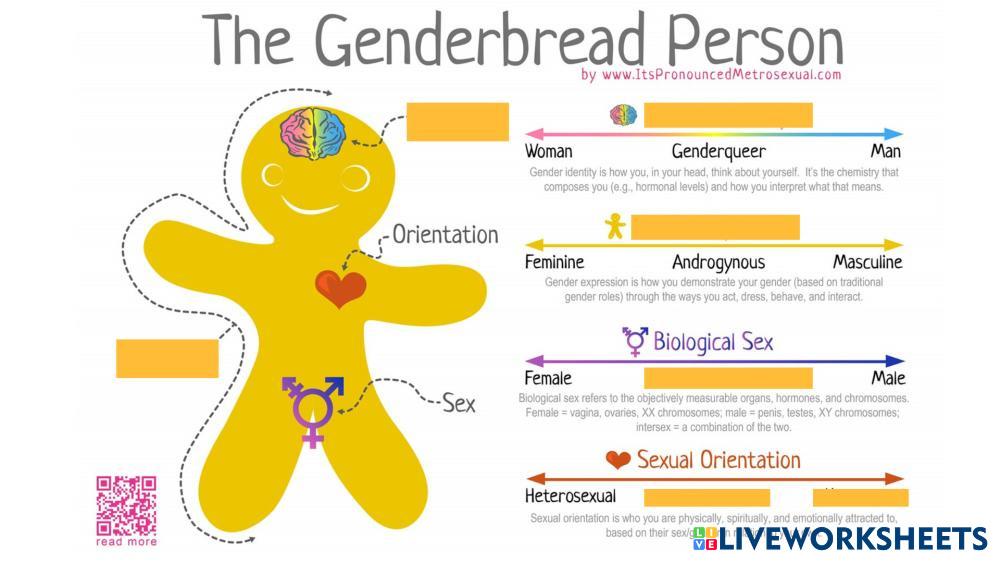 7813225 Genderbread Person Kosum Ou LiveWorksheets