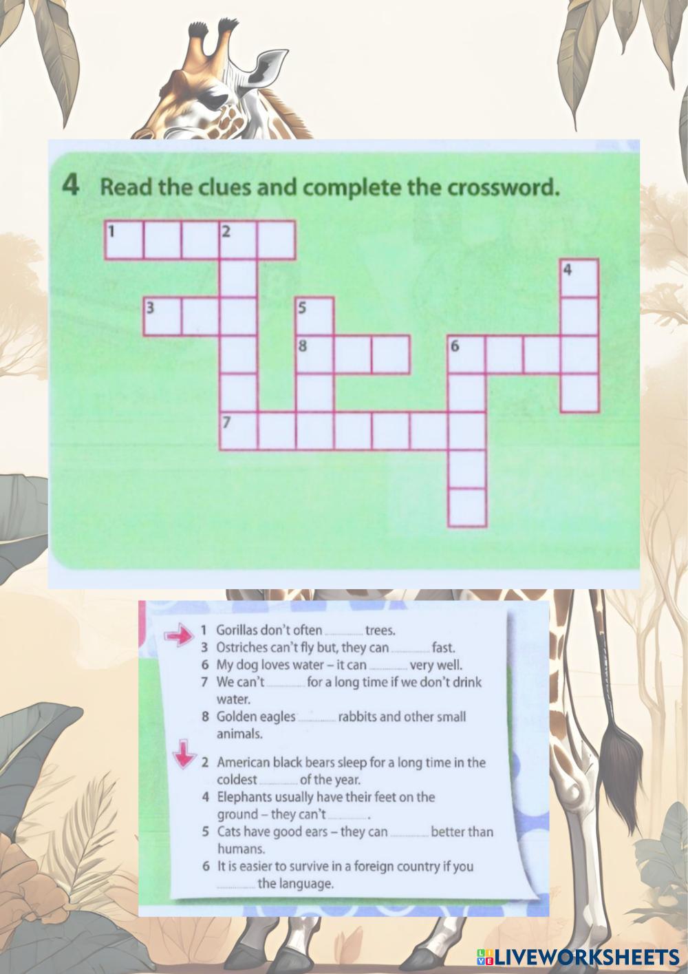 7817433-year-5-wildlife-puzzles-and-games