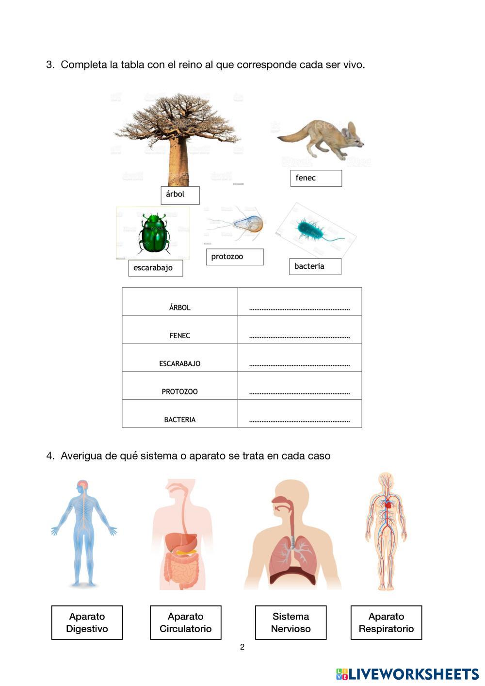 gráfico vectorial de ilustración del reino de los monstruos, bueno para el  diseño del logotipo 9231066 Vector en Vecteezy, image size:1000x1414