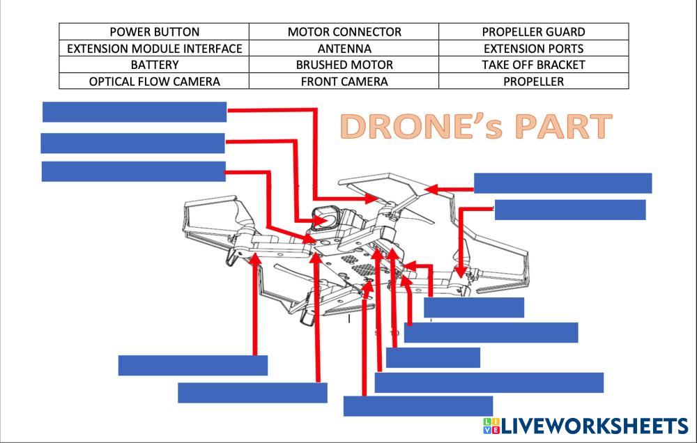 7836418 DRONE PART hanseans LiveWorksheets