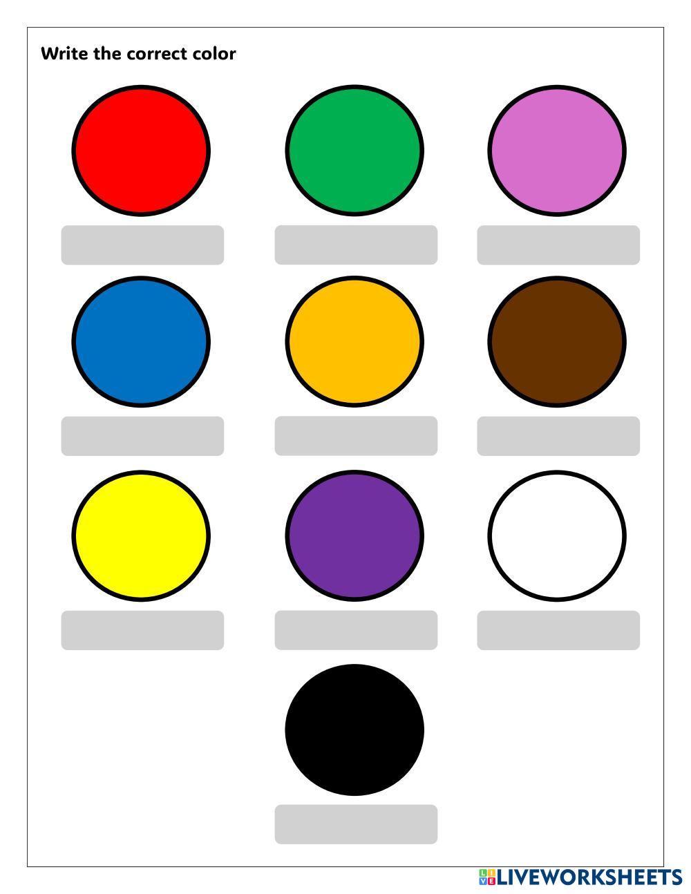 Colors Camila Carías Live Worksheets
