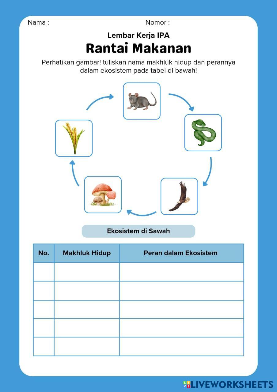 MAKHLUK HIDUP D Science Worksheets 8243811