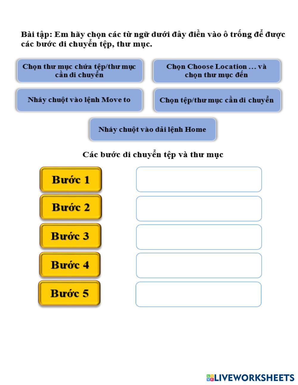 Bài tập kéo thả ESL Worksheets 8244864