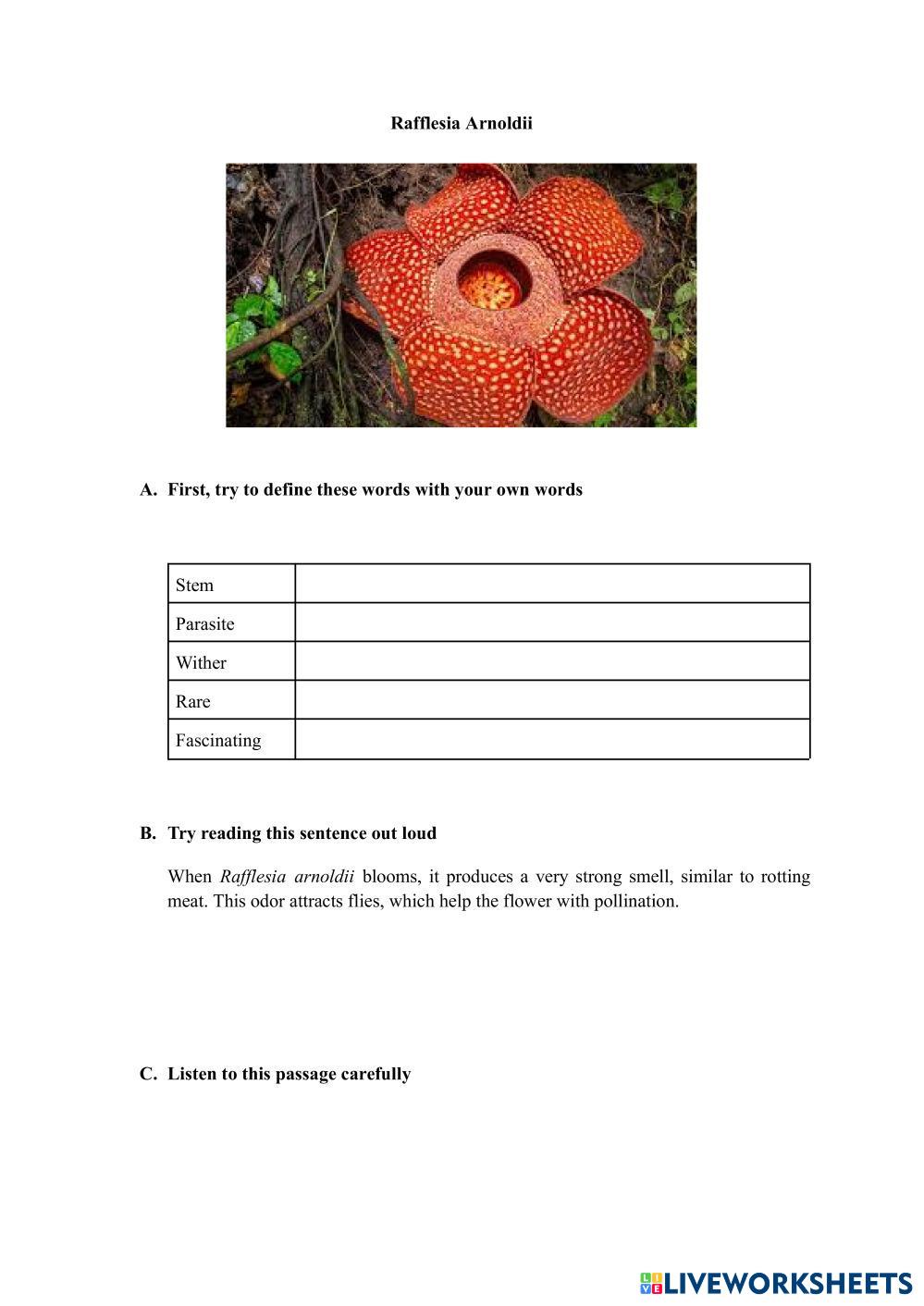 Reading for B1 ESL Worksheets 8252151