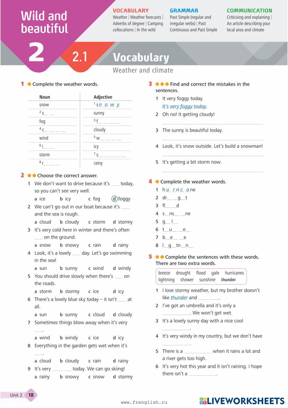 Wider world 3 ( ESL Worksheets 8253751