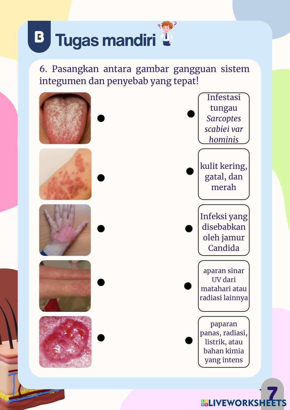 LKPD Silmi (canva).pdf