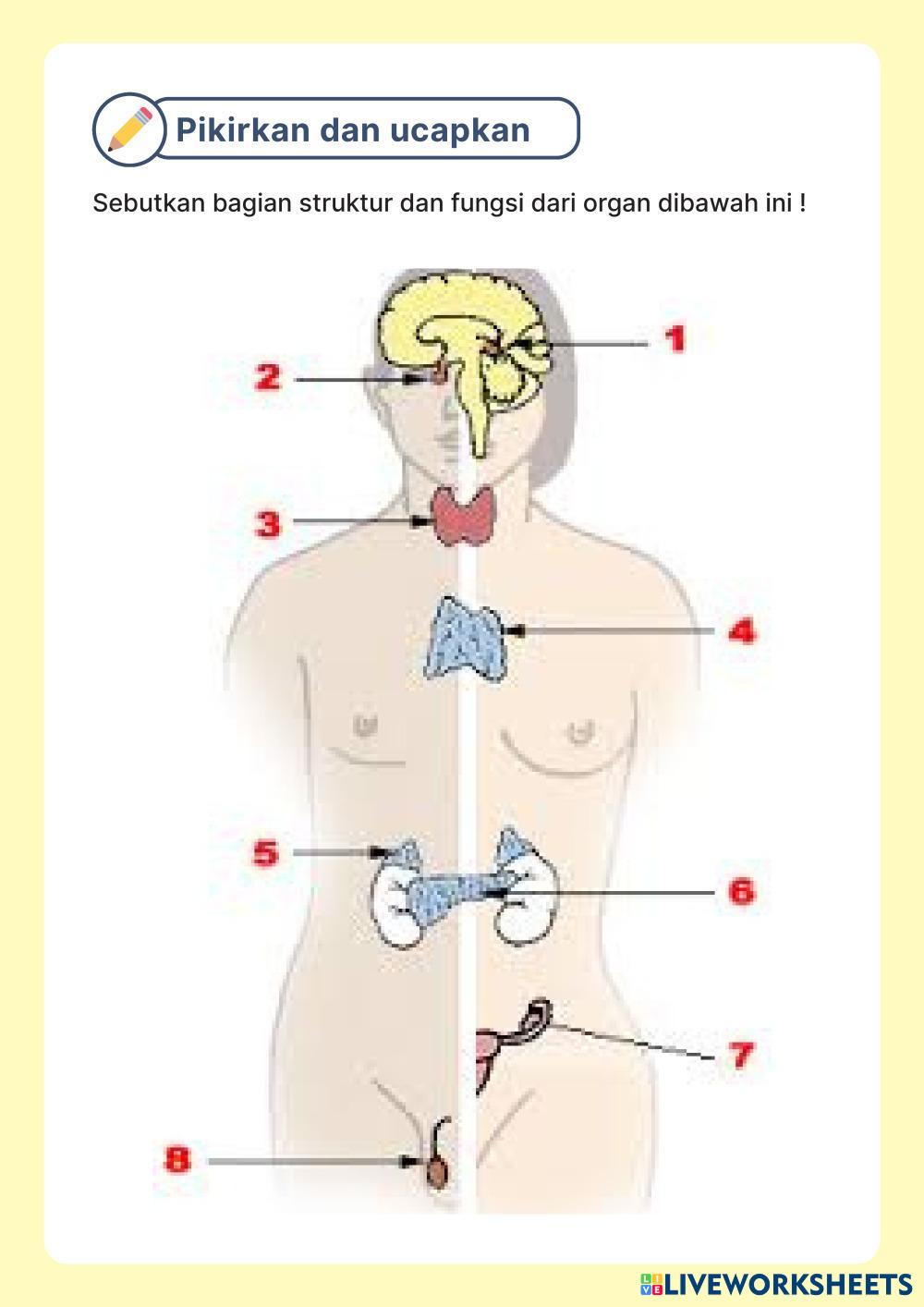 LKPD Septiani Khoerunnisa.pdf