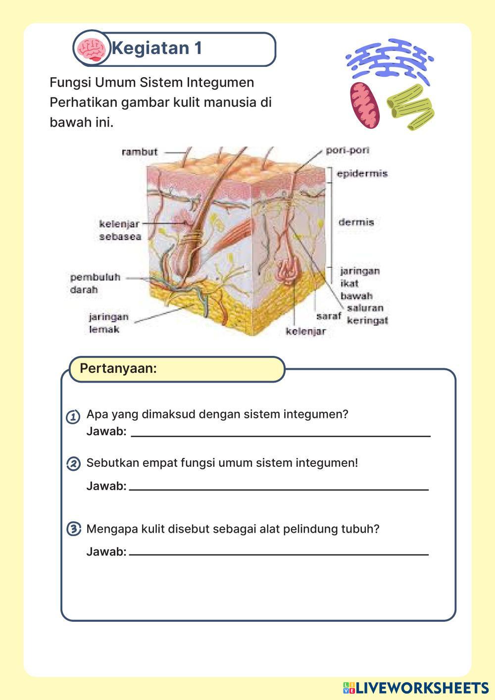 Fungsi umum sistem integumen dan struktur fungsi kulit Moh Faiz Fsn.pdf
