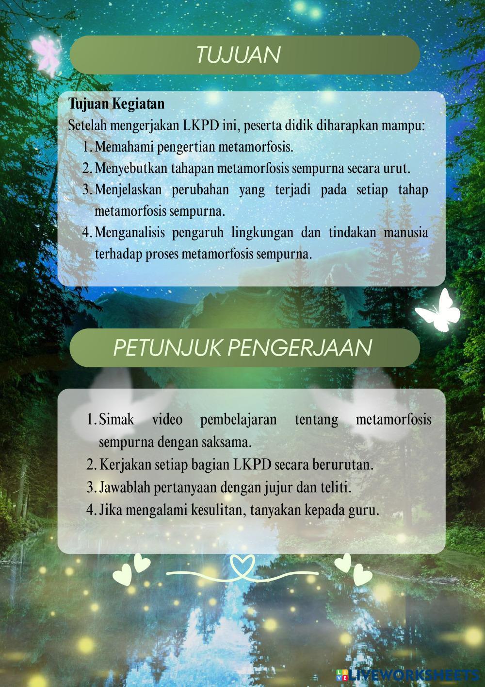 LKPD.pdf