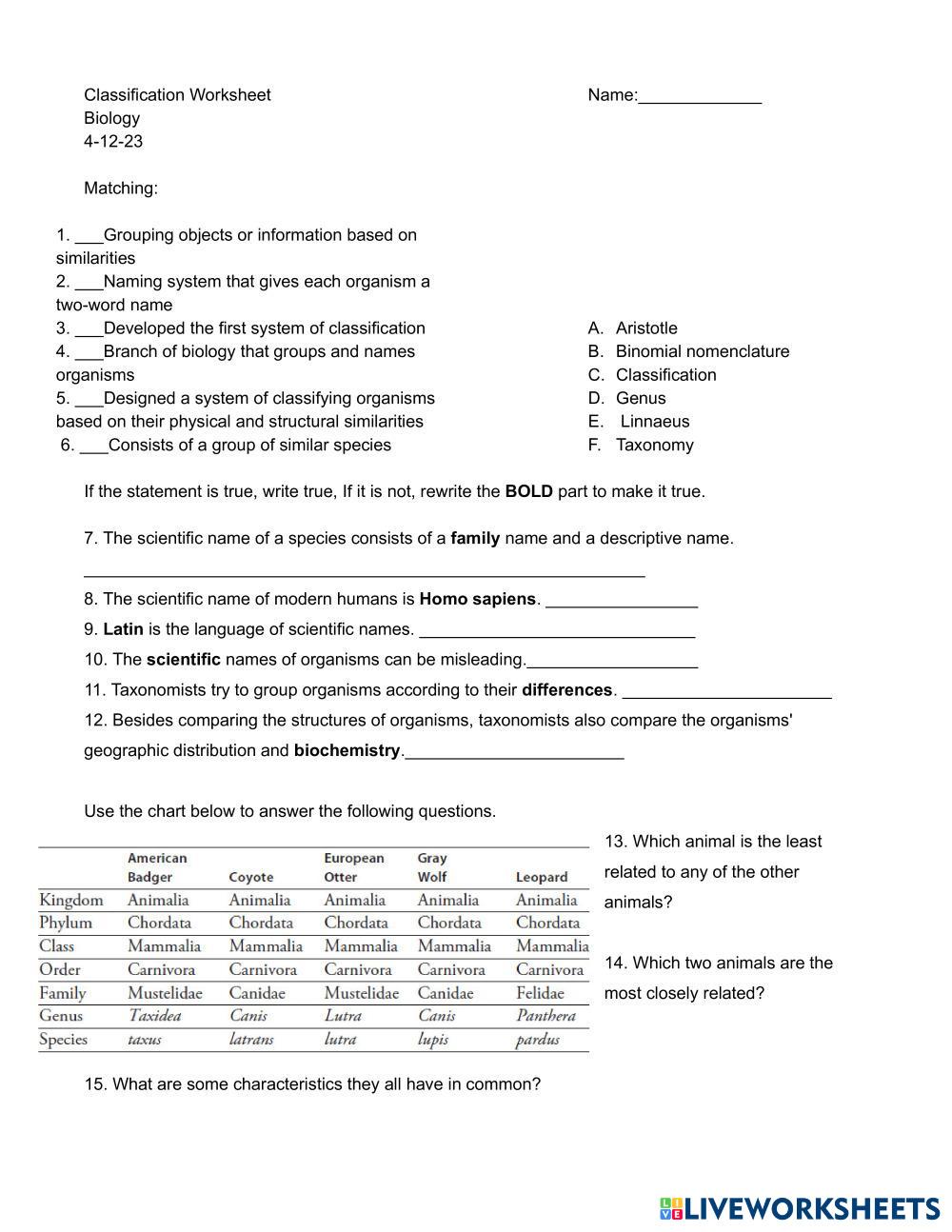 Animal Classification Word Search - WordMint, image size:1000x1294